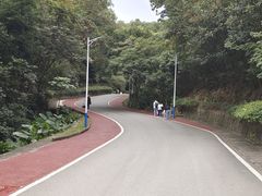 -火炉山森林公园