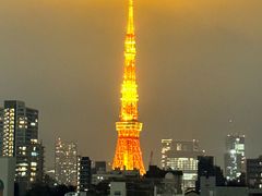-六本木新城展望台(东京城市景观)
