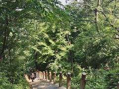 -终南山南五台景区