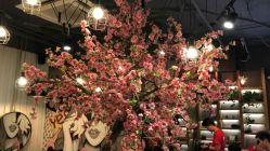 -逸丝风尚yesfashion造型