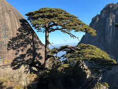 -黄山玉屏楼宾馆餐厅