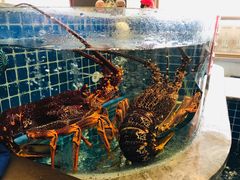 -骏莱海鲜鱼港(五角场店)