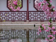 -莫愁湖公园