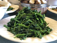 -洪湖家庭农场·团建·露营·会议