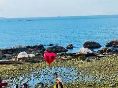 -养马岛旅游度假区