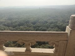 -灵谷景区