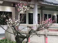 -陈云纪念馆
