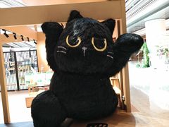 -爪爪喵星球·猫舍(卓悦中心店)