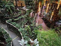 -正佳雨林生态植物园
