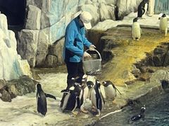 -成都浩海立方海洋公园