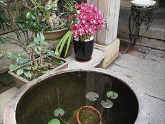 -文儒九号·闽菜馆(三坊七巷店)