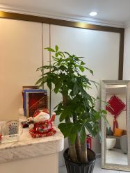 -金都微美·精准护肤·疗愈SPA