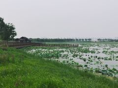 -天津东丽湖风景区