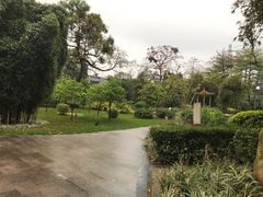 -晓港公园