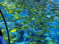 -太平洋海底世界