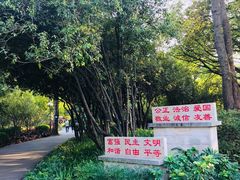 -晓港公园