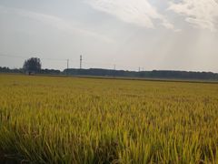 -嘉北郊野公园