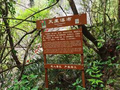 -福建天门山