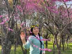 -柳鹭田园区