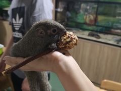 -藦茜花园宠物主题亲子互动体验馆(国顺东路店)