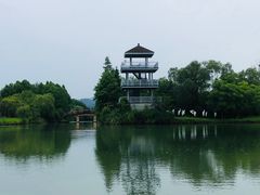 -苏州太湖国家湿地公园