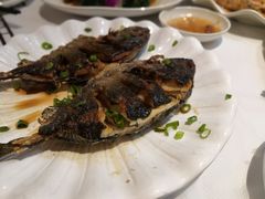 -强记海鲜·大排档(蛇口新街店)