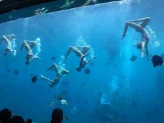 -瑞德姆美人鱼海底演艺主题餐厅(亚龙湾店)
