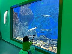 -福州罗源湾海洋世界旅游区