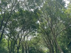 -天目湖涵田半山温泉