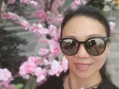 -常德桃花源景区