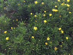 -云南艺术学院(呈贡校区)