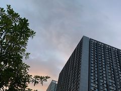 -电白鸭粥店(下沙二坊88号店)
