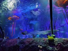 -沈阳海洋探索中心