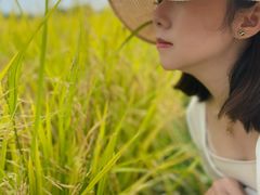 -光明小镇欢乐田园