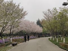 -白塘生态植物园