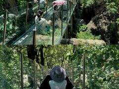 -嵖岈山风景区