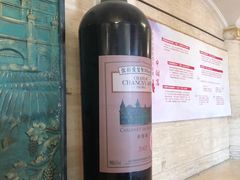 -北京张裕爱斐堡酒庄