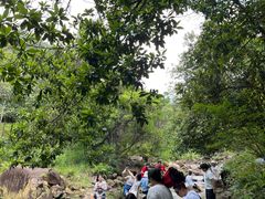 -广州白江湖森林公园