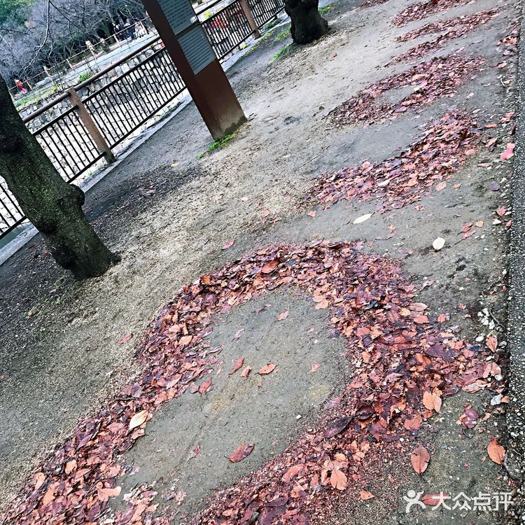 大阪市内一天游玩攻略[糖果]