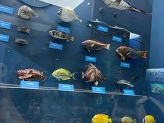 -国家自然博物馆