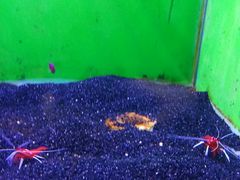 -芜湖新华联大白鲸海洋公园