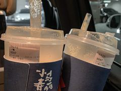 -春丽小马(济南恒隆广场店)