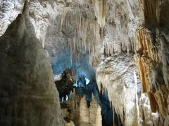 -怀托摩萤火虫洞