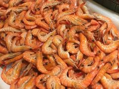-碧涛阁·泡泡海洋·汤泉洗浴(王府花园店)