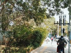 -日本大使馆-新闻文化中心