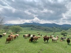 -新疆那拉提国家旅游度假区