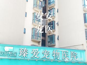 安安宠医,令人放心的宠物医院