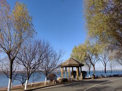 -丁香湖公园
