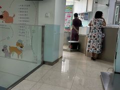 -瑞派申生动物医院·24H夜诊·国际动物医疗中心·骨外科(吴中路店)