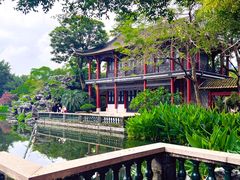 -顺峰山公园